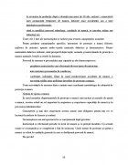 Atestat Istoria coafurii - imaginea47