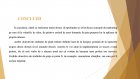 Atestat Studiul pietei pentru Firma de Exercitiu Golden Mug Cafe SRL - imaginea59
