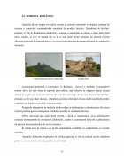 Atestat Oferta turistică a litoralului Mării Negre - imaginea13