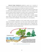 Atestat Poluanții apei - imaginea10