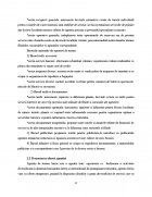 Atestat Agentia de turism Sirius - imaginea16