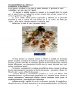 Atestat Tehnica servirii preparatelor de baza - imaginea11