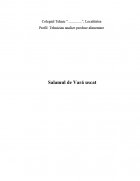 Atestat Salamul de Vara uscat - imaginea1