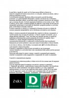 Atestat Determinarea canalelor si formelor de distribuire a marfurilor - imaginea8