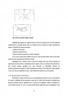Atestat Pregatirea tehnico tactica a jocului de handbal - imaginea42