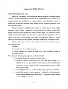 Atestat Coafura tip Hollywood cu elemente decorative - imaginea11