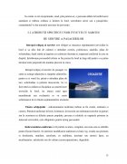Atestat Sisteme privind tehnica servirii consumatorilor - imaginea15