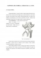 Atestat Inventarierea speciilor din parcul dendrologic și descrierea speciilor de bază - imaginea12
