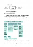 Atestat Managementul calitatii - imaginea17