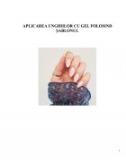 Atestat Aplicarea unghiilor cu gel folosind șablonul - imaginea2