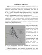 Atestat Materiale Ceramice. Porțelanul - imaginea13