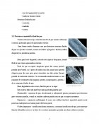 Atestat Coafuri pe par lung - imaginea6