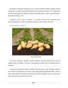 Atestat Cultura cartofului și mașini de plantat cartoful - imaginea6