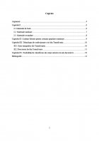 Atestat Tehnologia de confectionare a iei din Transilvania - imaginea2
