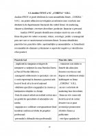 Atestat Analiza SWOT - imaginea14