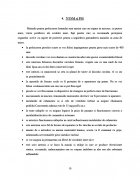 Atestat Etajera - imaginea7