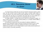 Atestat Tunsoarea clasică cu sau fără cărare - imaginea33