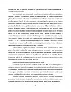 Atestat Agentia de turism Sirius - imaginea5