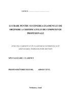 Atestat Evoluția clarinetului în clasicism și contribuția sa în dezvoltarea tinerilor instrumentiști - imaginea1