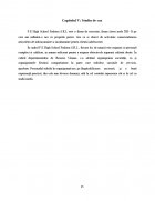 Atestat Tipuri de organigrame - imaginea15