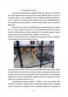 Atestat Patologia animalelor exotice - imaginea24