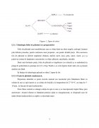 Atestat Tehnologia de obținere a aluaturilor și a preparatelor specifice - imaginea6
