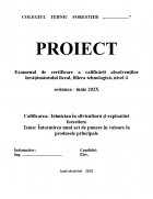 Atestat Intocmirea unui act de punere in valoare la produsele principale - imaginea1