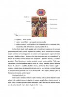Atestat Spalat, tuns, coafura de zi - imaginea9