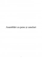 Atestat Asamblări cu pene și caneluri - imaginea2