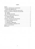 Atestat Vesta clasica - imaginea2