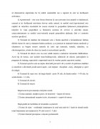 Atestat Analiza pieței turistice din zona stațiunii Mamaia - imaginea7