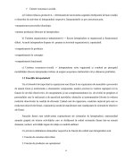 Atestat Caracterizarea impozitelor indirecte sursă de venit la bugetul de statului - imaginea6