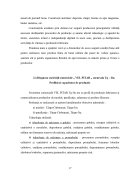 Atestat Contabilitatea mobilizărilor necorporale - imaginea12