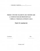 Atestat Tipuri de organigrame - imaginea1