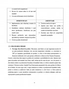 Atestat Analiza concurentilor firmei S.C. MACROMEX S.R.L - imaginea8