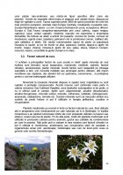 Atestat Turismul rural si agroturismul - imaginea15