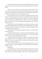 Atestat Comunicarea și mixul de marketing la SC  CARREFOUR ROMÂNIA  SA - imaginea16