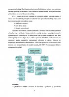 Atestat Managementul calitatii - imaginea4