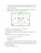 Atestat Tactica sportivă - imaginea12