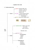 Atestat Imprimarea materialelor din fibre celulozice prin transfer termic cu coloranti pigmenti - imaginea4