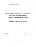 Atestat Analiza surselor proprii de finantare - imaginea1