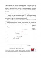 Atestat Publicitatea intre pro si contra la Avon - imaginea23