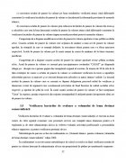 Atestat Intocmirea unui act de punere in valoare la produsele principale - imaginea33