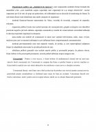 Atestat Contabilitatea capitalurilor proprii - imaginea12