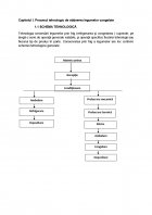 Atestat Tehnologia de obtinere a conservelor de legume congelate - imaginea6