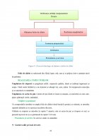 Atestat Tehnologia și promovarea gustărilor - imaginea24