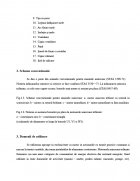 Atestat Masini asincrone - imaginea7