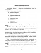 Atestat Tipuri de organigrame - imaginea11