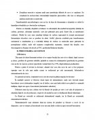 Atestat Tehnologia de obtinere a painii - imaginea14