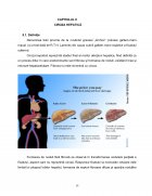 Atestat Îngrijirea pacientului cu ciroză hepatică - imaginea14